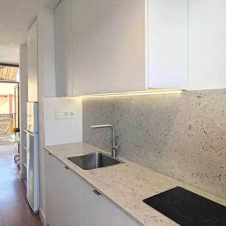 Penthouse Big Terrace Daire Puerto de la Cruz (Tenerife)