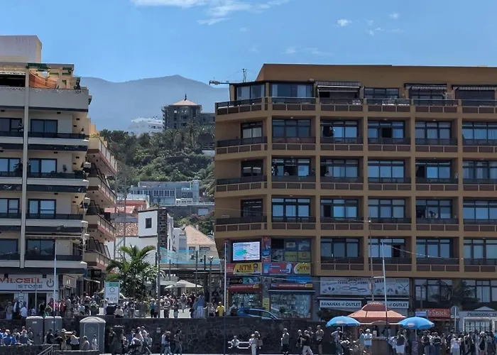 Penthouse Big Terrace Apartment